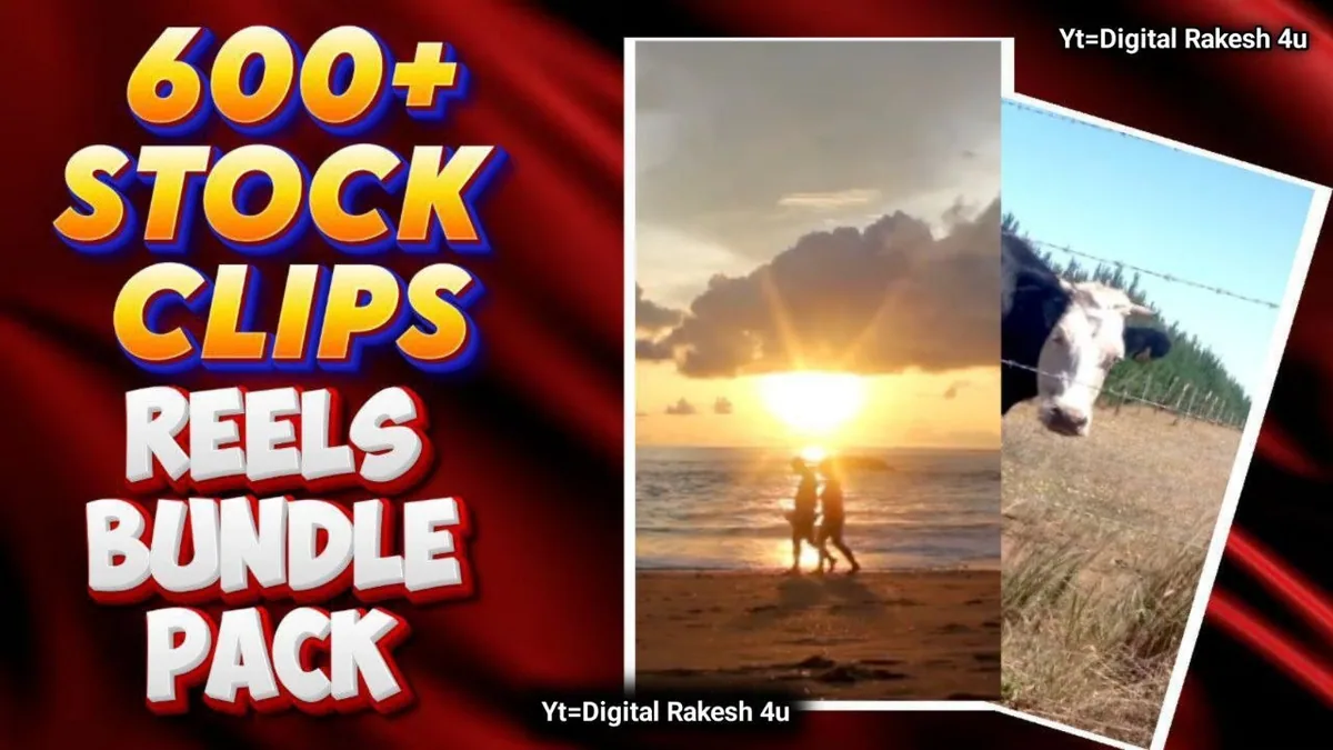 600+ Stock Clips: কী শিখবেন, কার জন্য, এবং কীভাবে শুরু করবেন